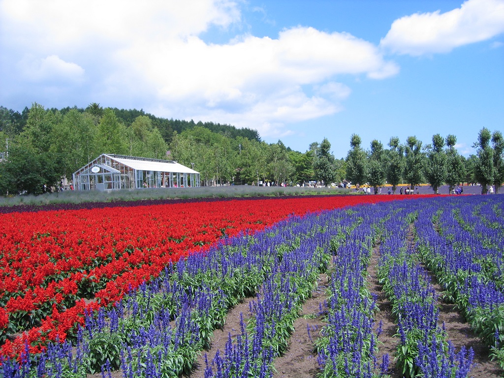 ファーム富田