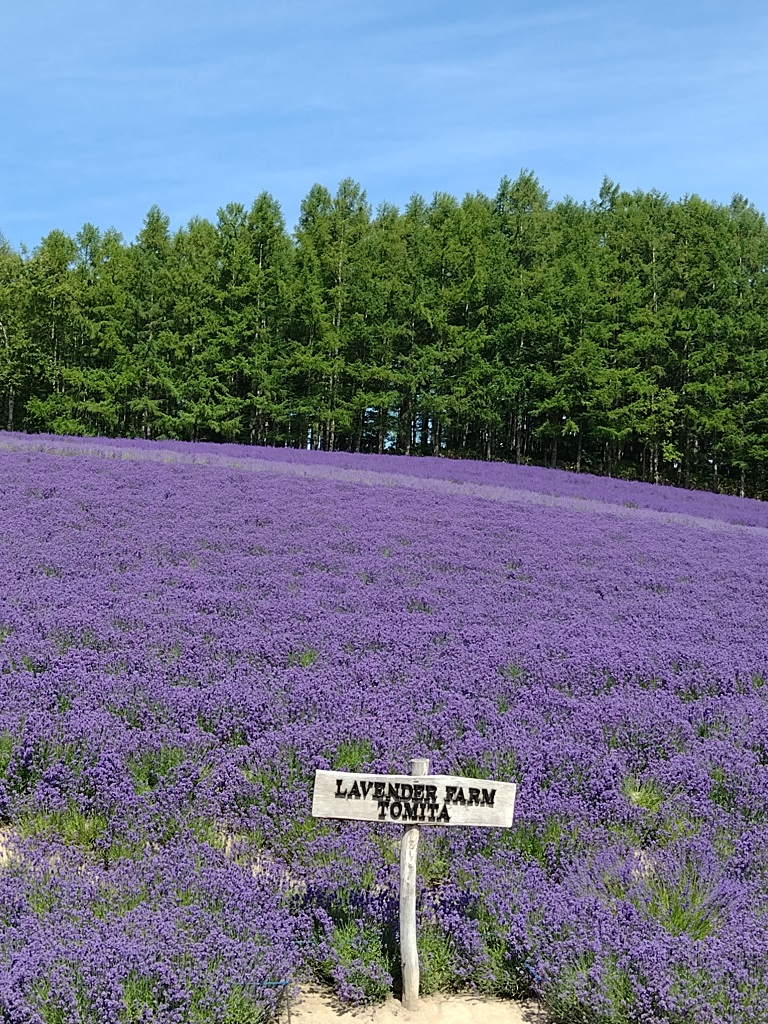 ファーム富田