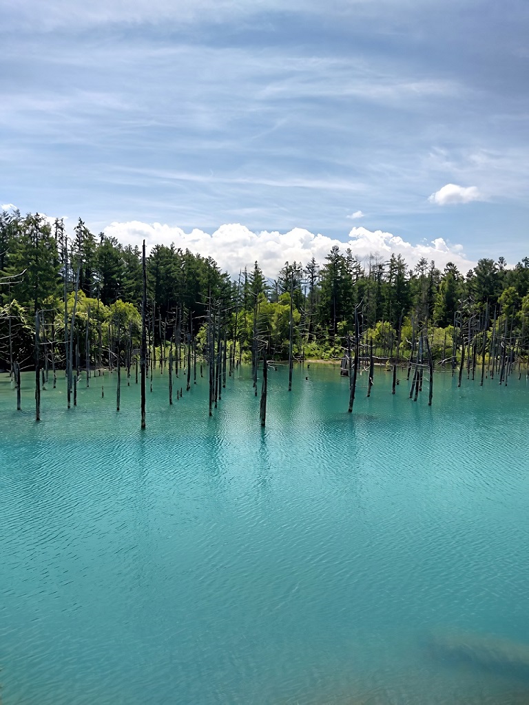 青い池