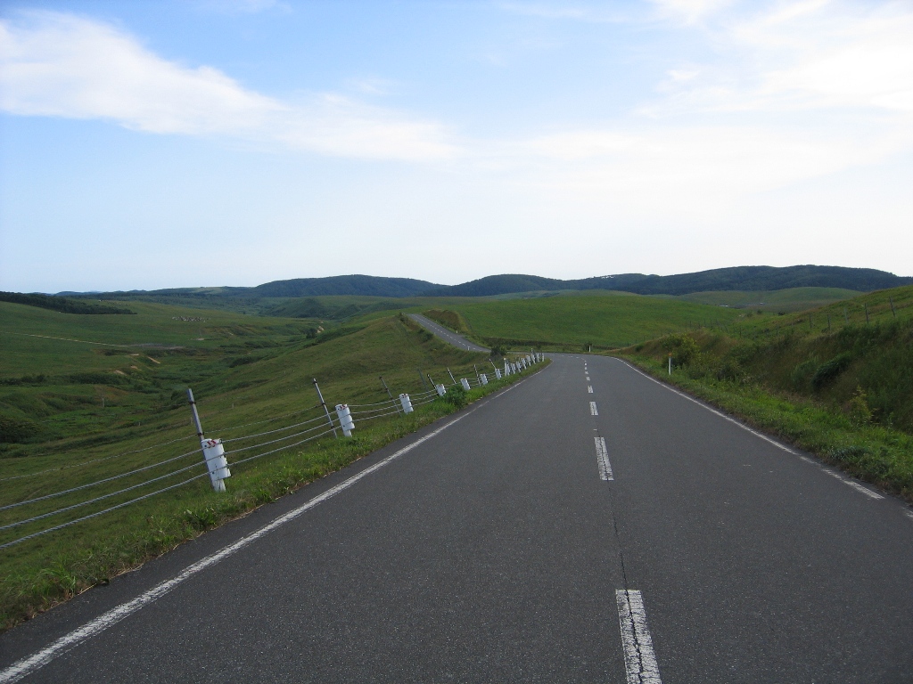 大規模草地牧場