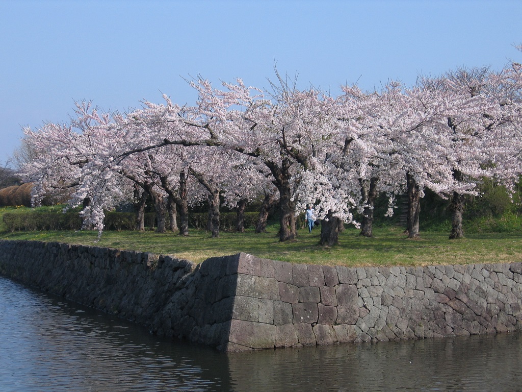 五稜郭公園