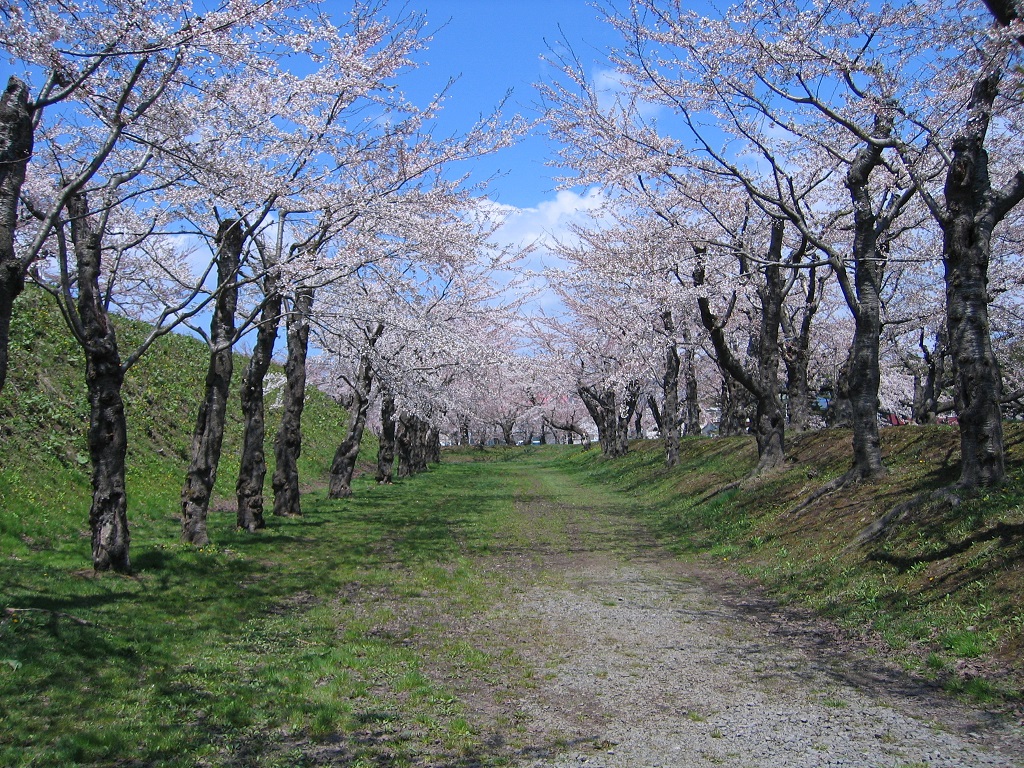 五稜郭公園