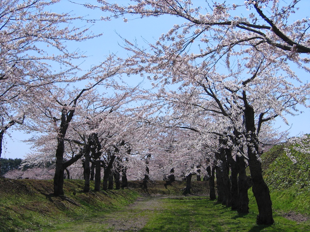 五稜郭公園