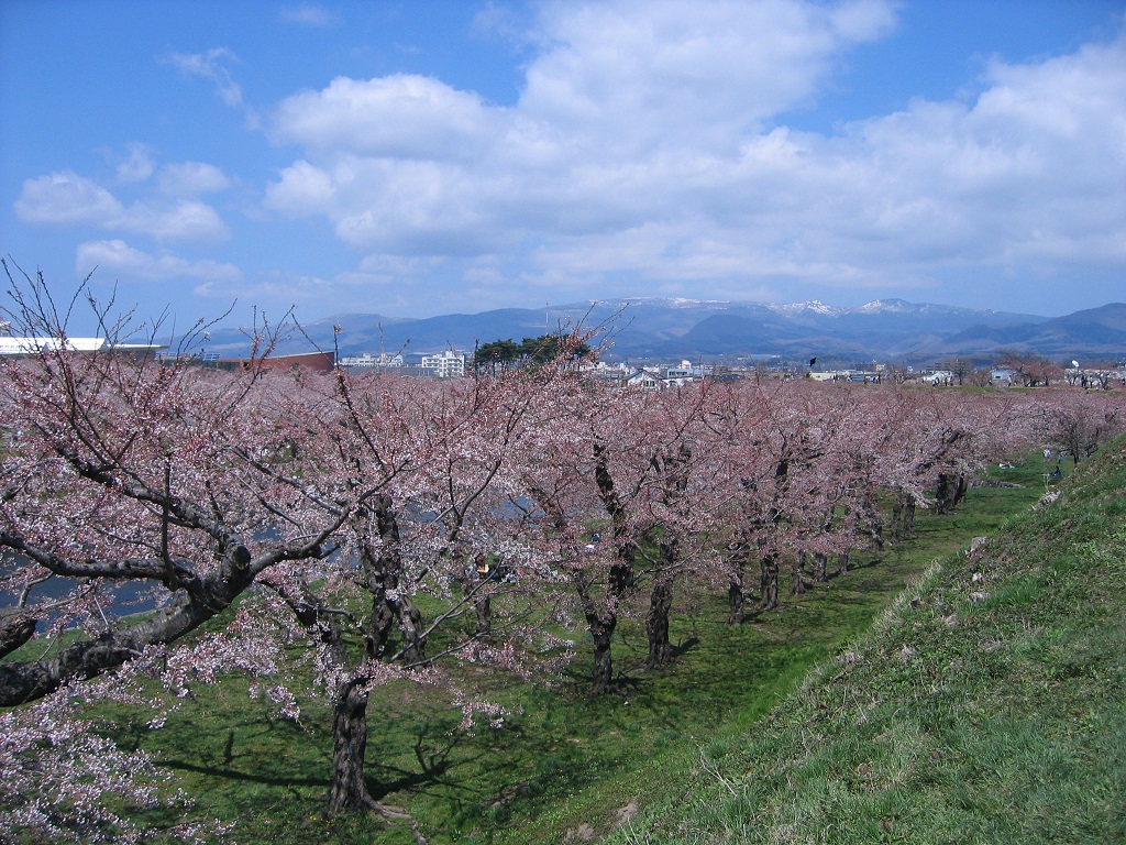 五稜郭公園