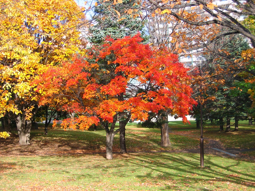 中島公園