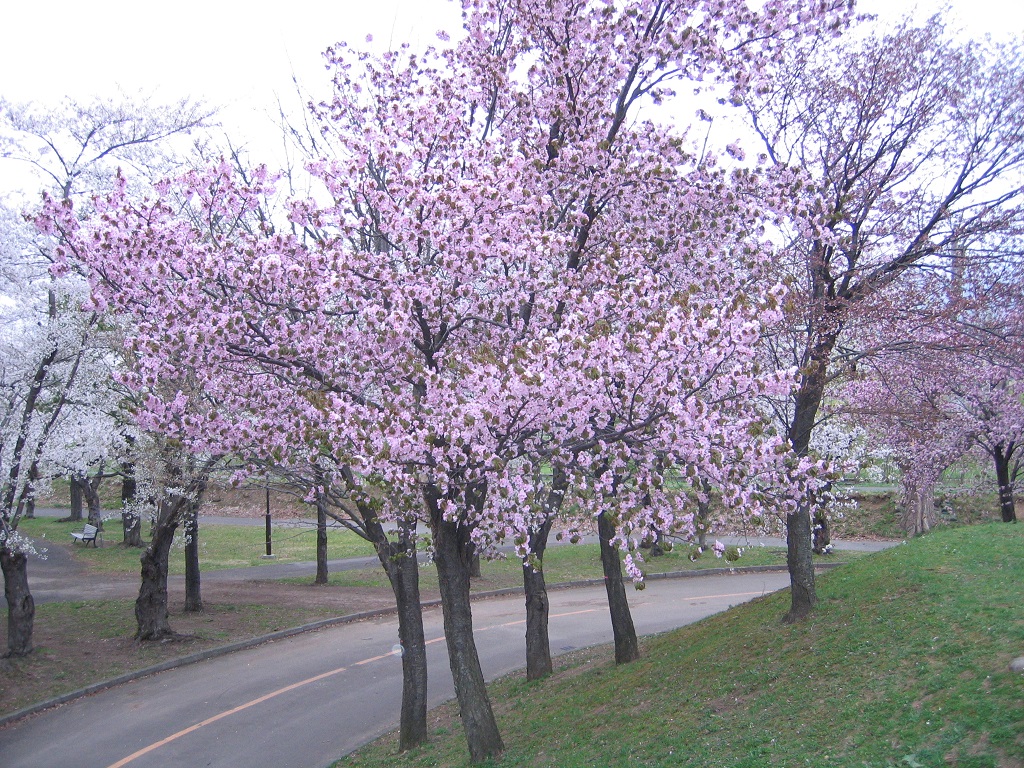 農試公園