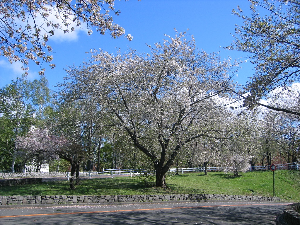 農試公園