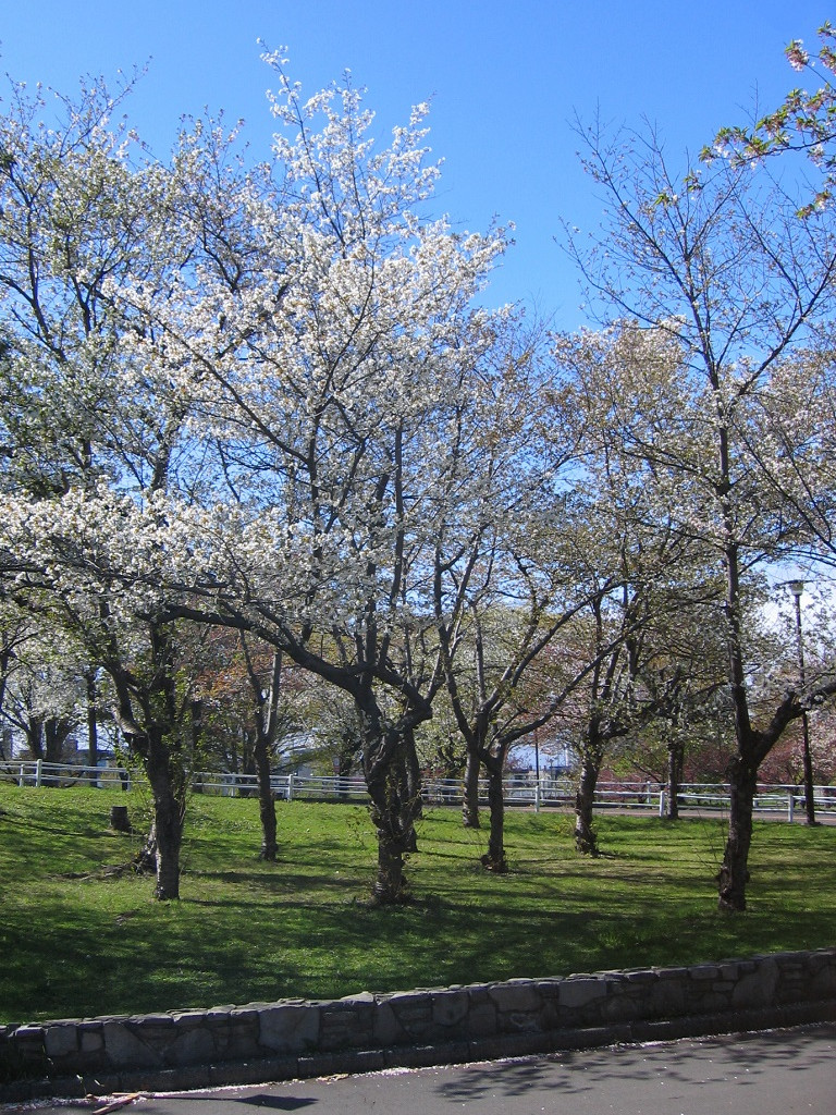 農試公園