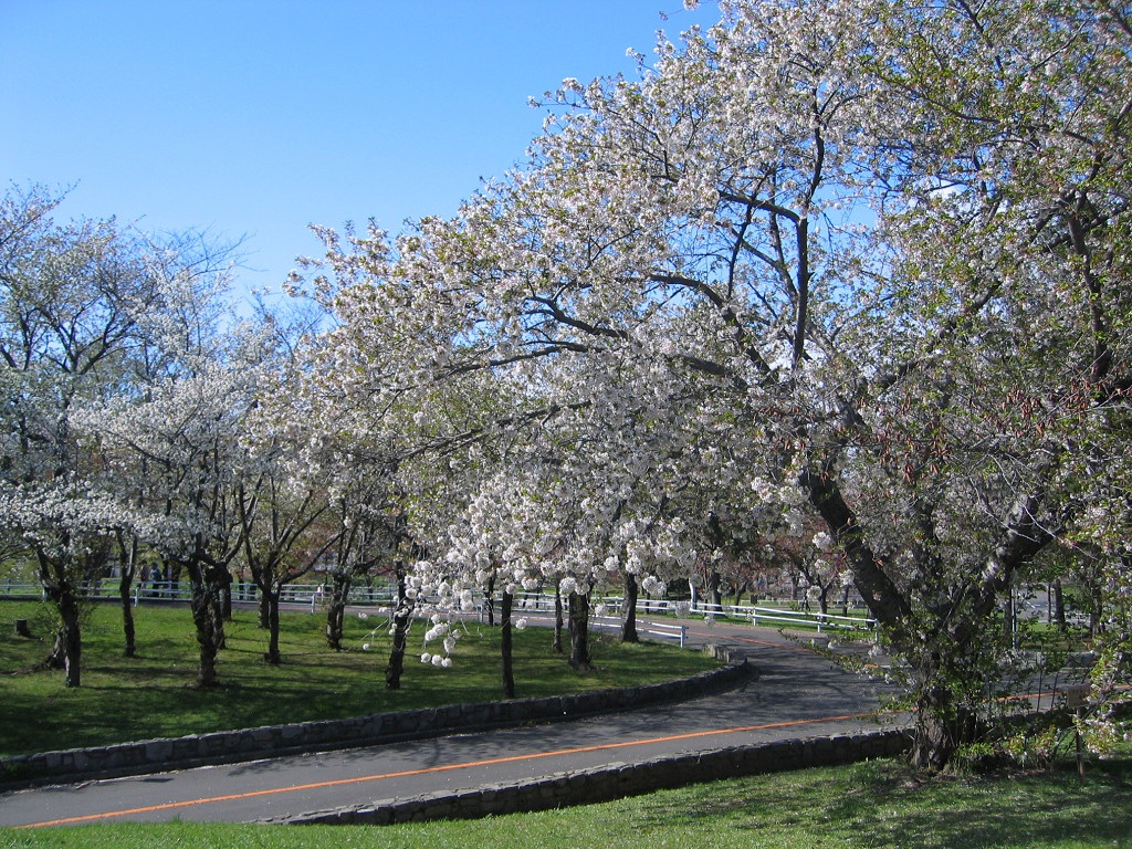 農試公園