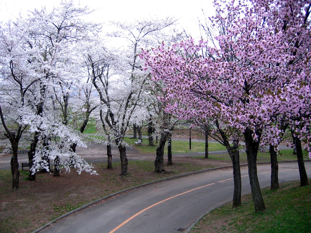 農試公園