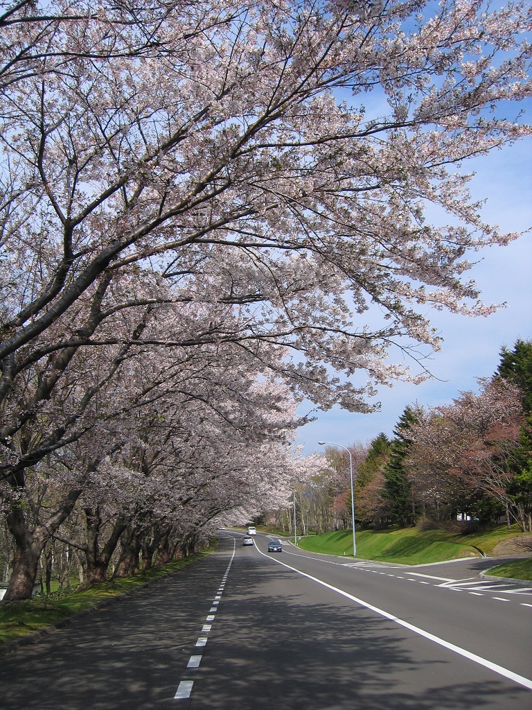 戸田記念墓地公園