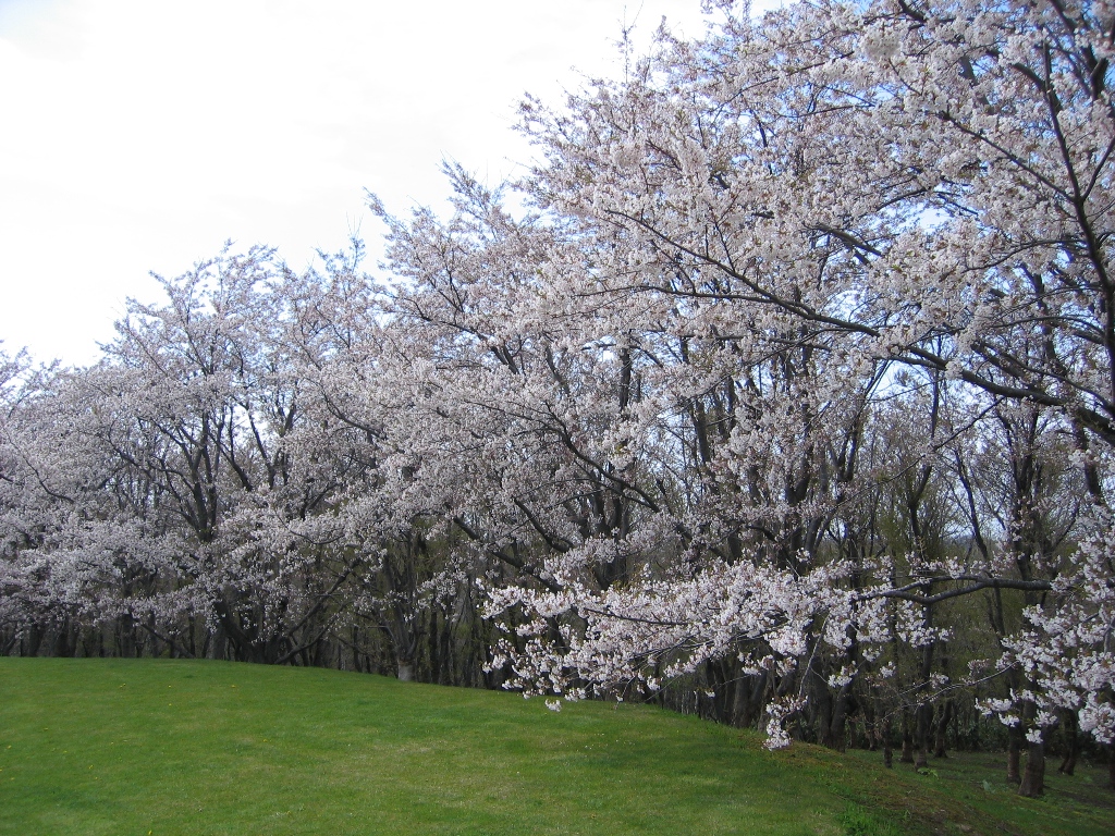 戸田記念墓地公園