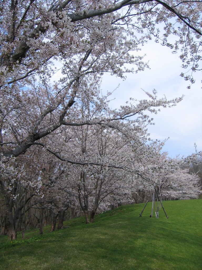 戸田記念墓地公園