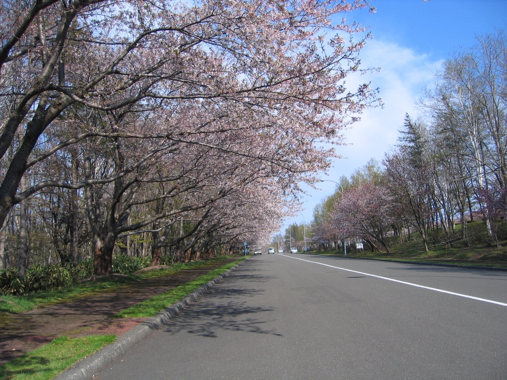 戸田記念墓地公園