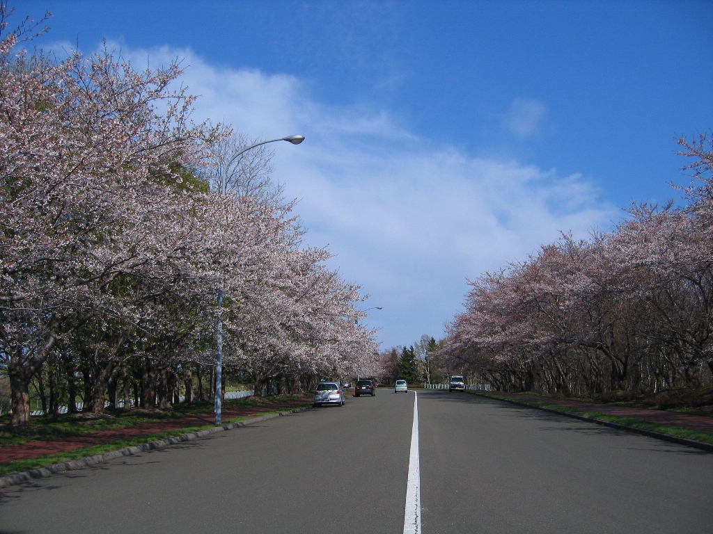 戸田記念墓地公園